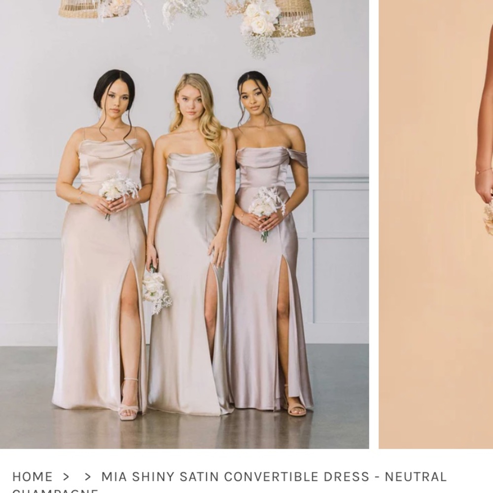 Birdy Grey Mia Convertible Dress Shiny Satin Neutral Champagne -NWT